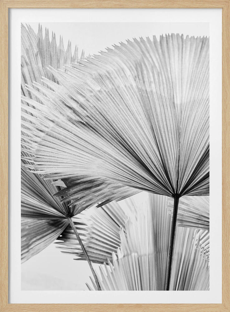 Leaf II | Poster
