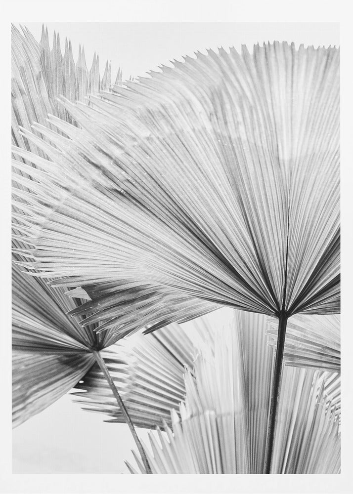 Leaf II | Poster