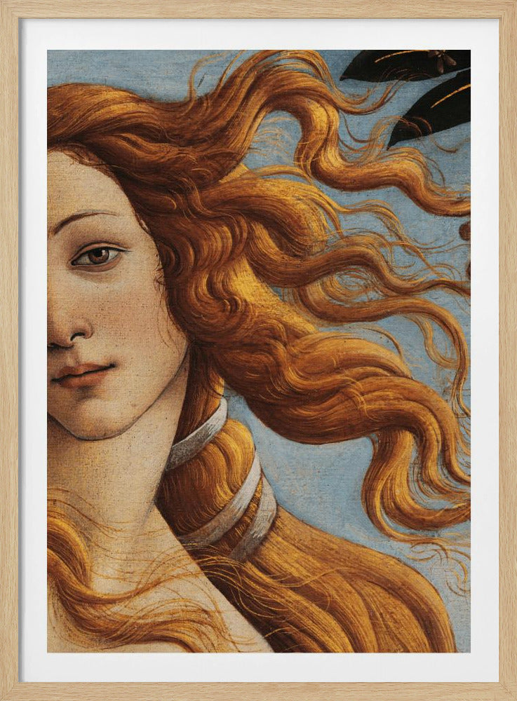 The Birth of Venus by Sandro Botticelli | Poster