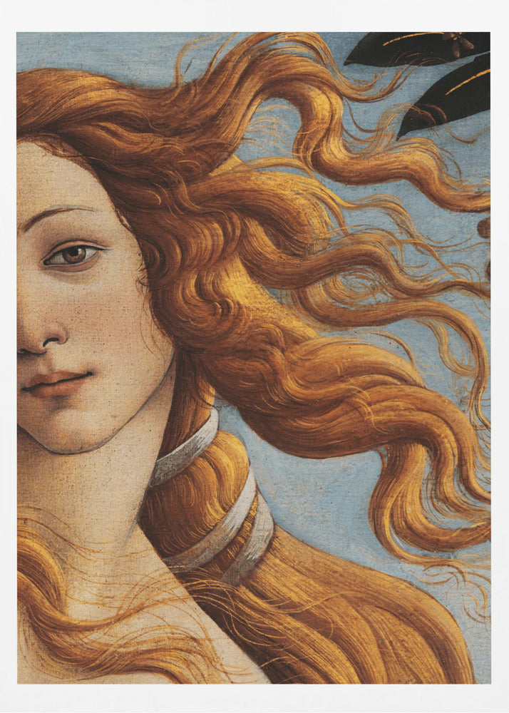 The Birth of Venus by Sandro Botticelli | Poster