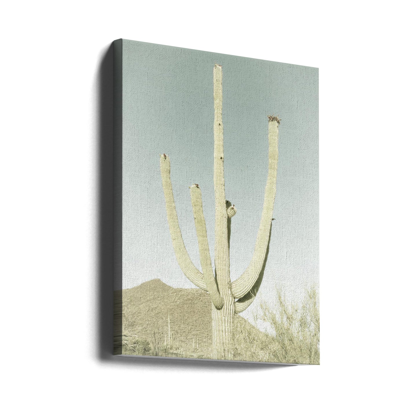 SAGUARO NATIONAL PARK Vintage Giant Saguaro | Canvas
