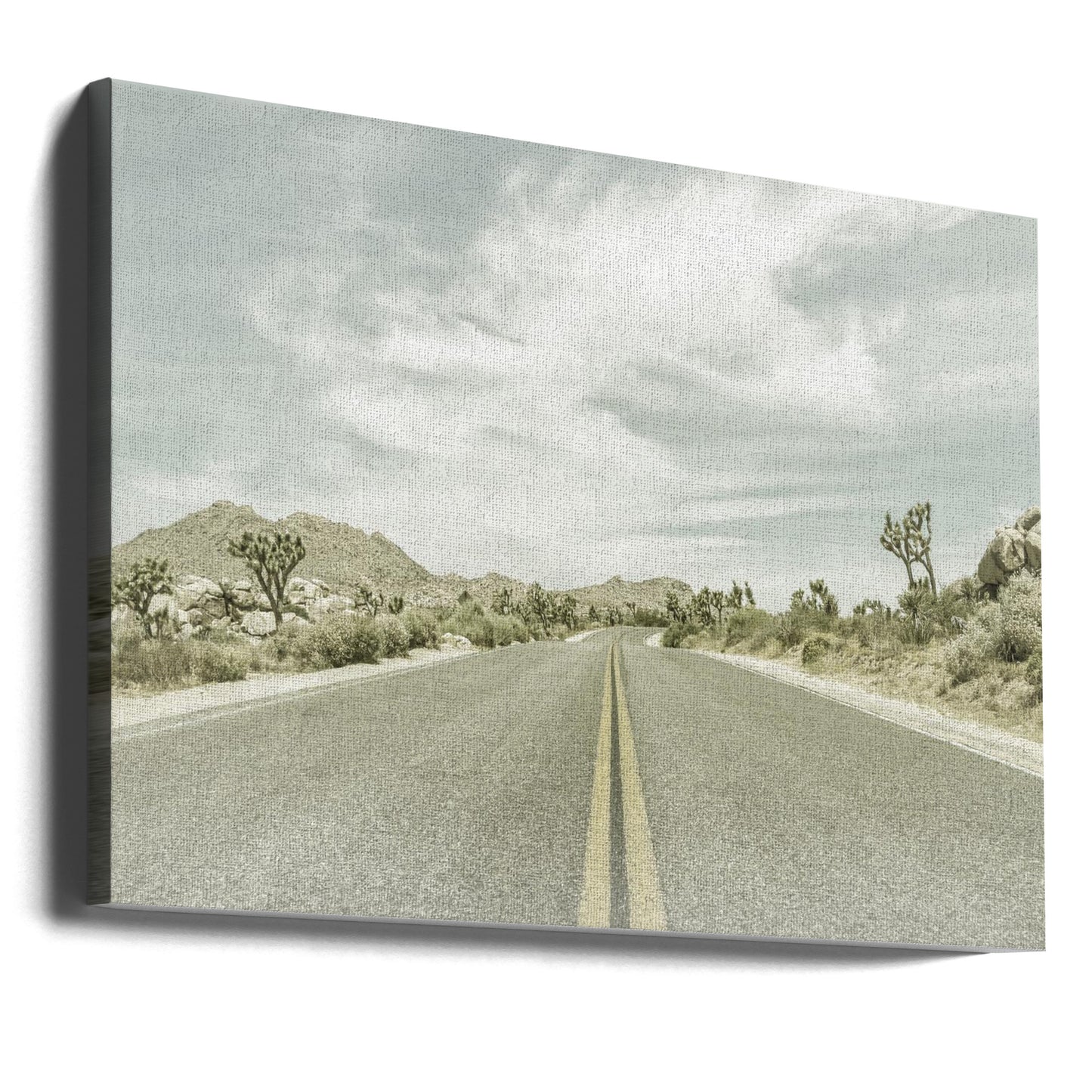 Vintage Joshua Trees, Park Boulevard | Canvas