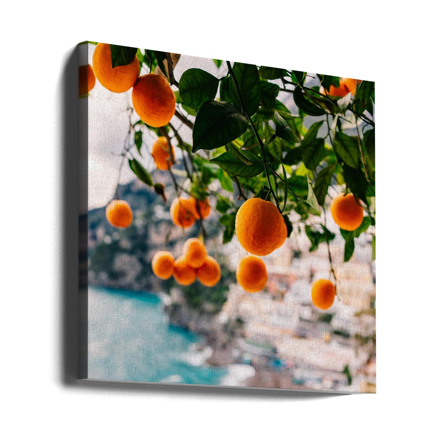 Orangen von der Amalfiküste | Leinwand-Bilder