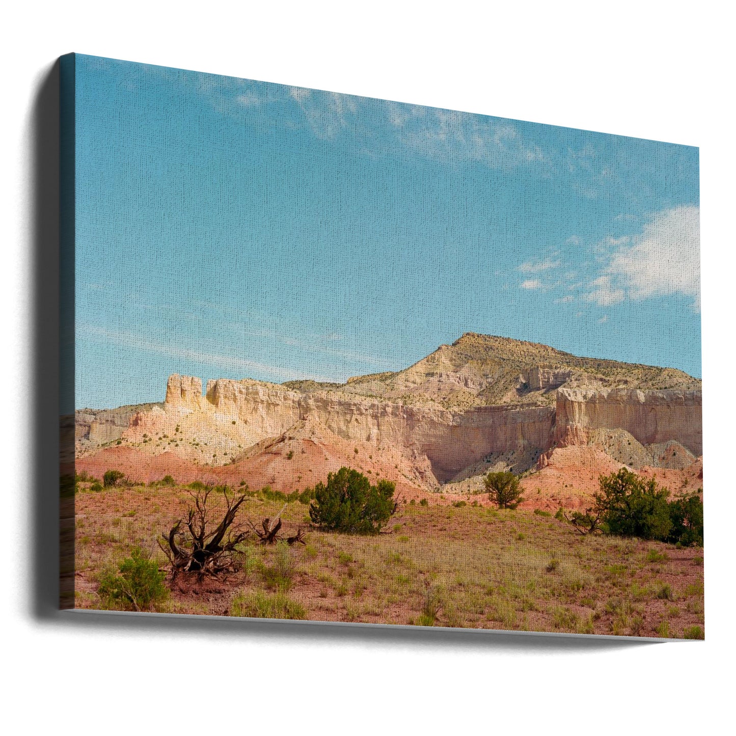 Spökranch IX | Canvas