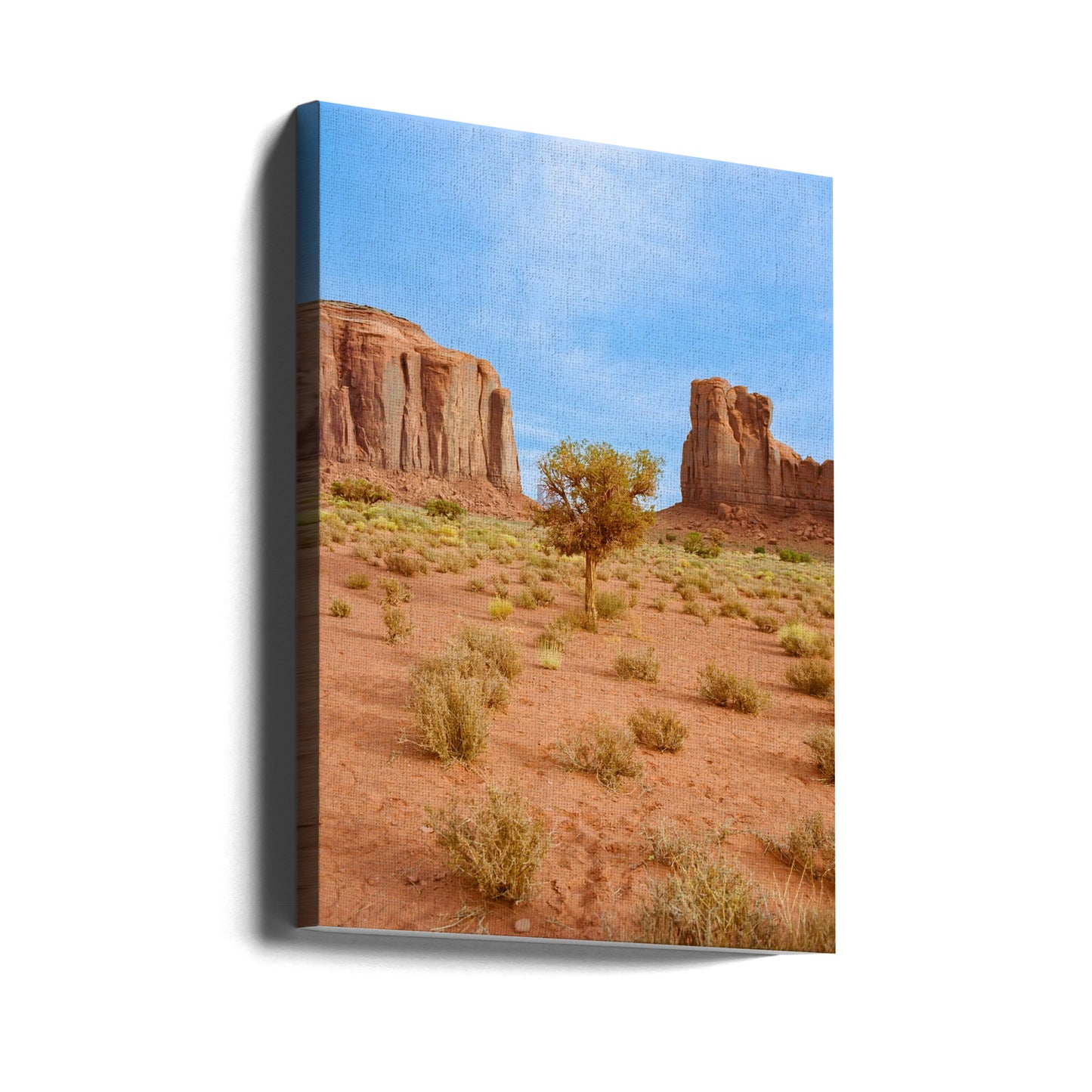 Monument Valley X | Lærredsbilleder