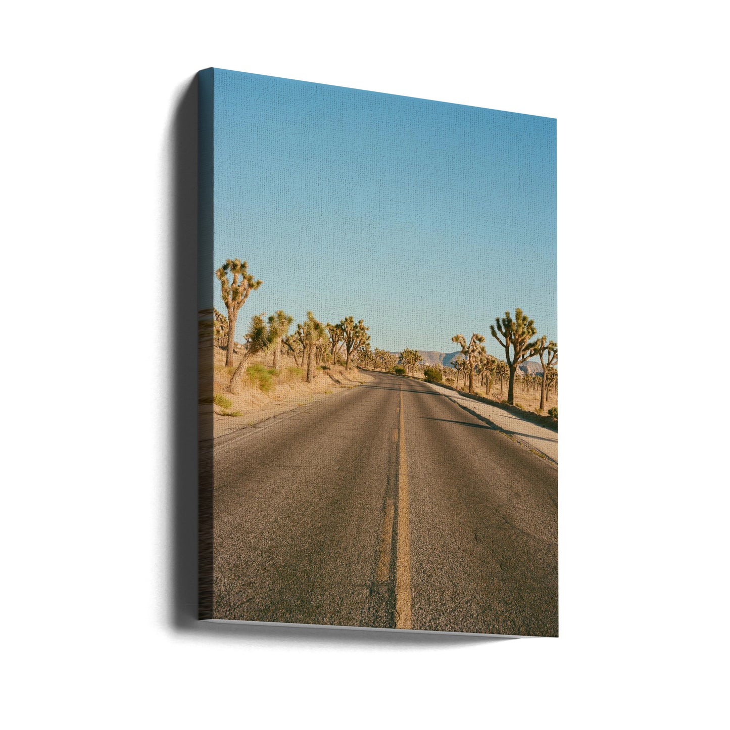 Strada di Joshua Tree II | Stampe su Tela