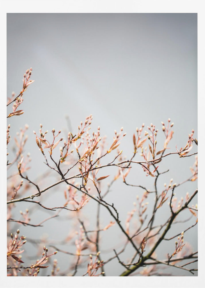 Unknown 11 | Poster