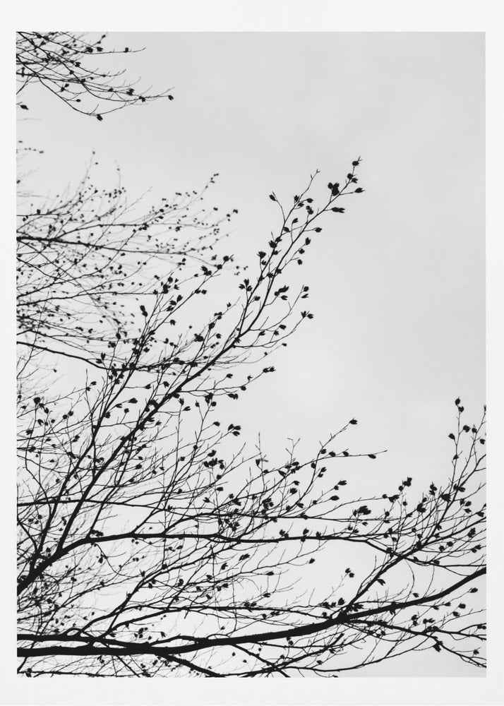 Winter Silhouettes 7 | Poster