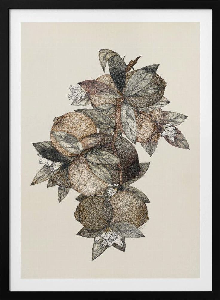Pomegranate (1867) Rufus King | Poster