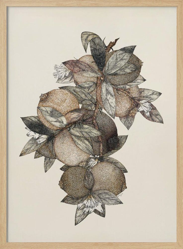 Pomegranate (1867) Rufus King | Poster