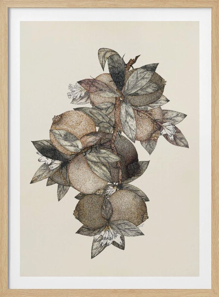 Pomegranate (1867) Rufus King | Poster