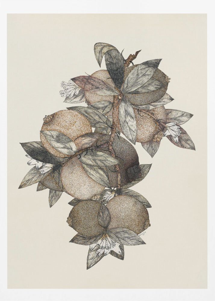 Pomegranate (1867) Rufus King | Poster