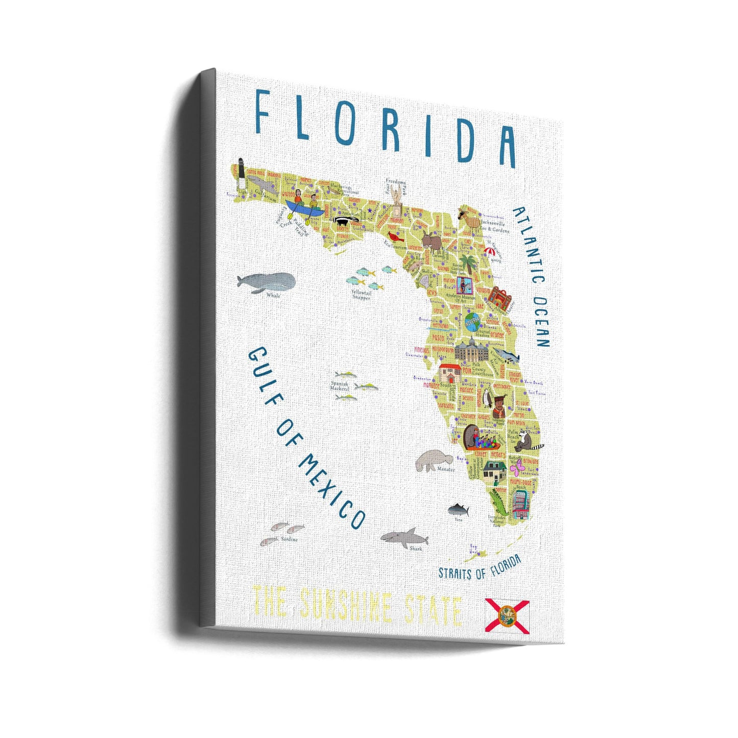 Mapa ilustrado de Florida por la artista Carla Daly | Impresiones en Lienzo