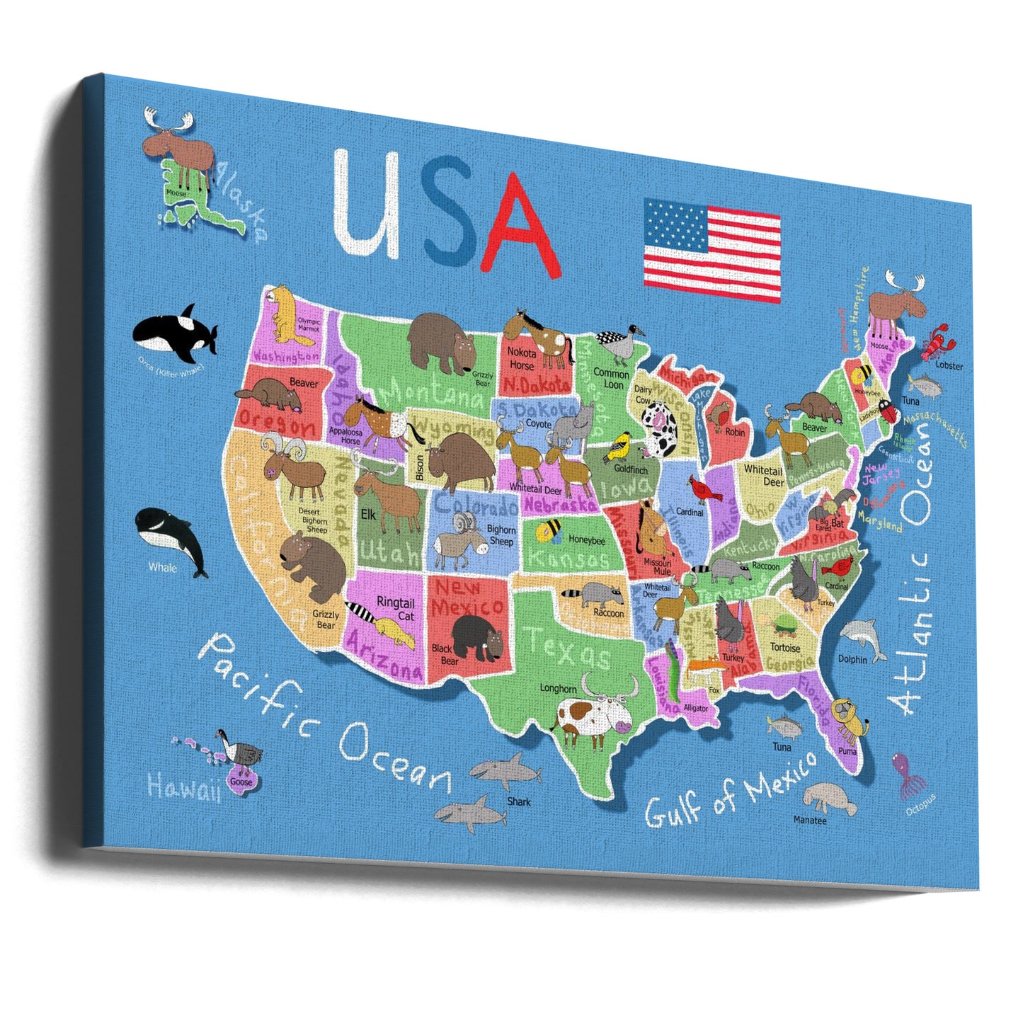 Mapa ilustrado de los Estados Unidos de América por Carla Daly | Impresiones en Lienzo