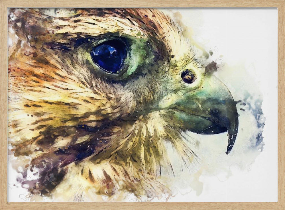 Animal Bird Kestrel Watercolor Animal Art | Poster