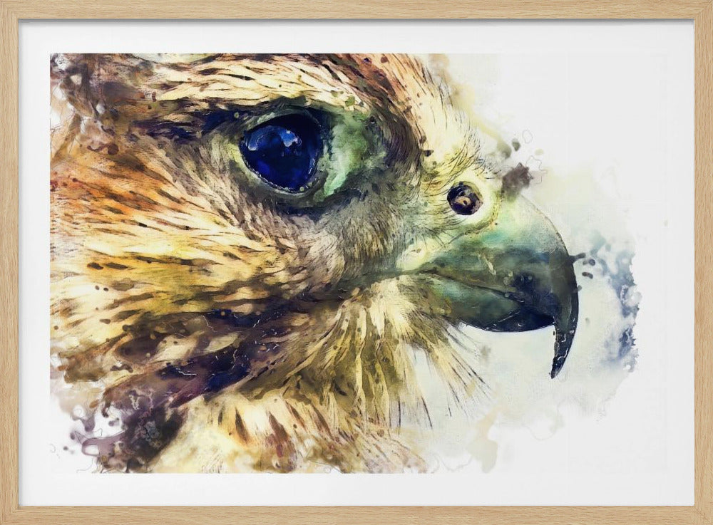 Animal Bird Kestrel Watercolor Animal Art | Poster