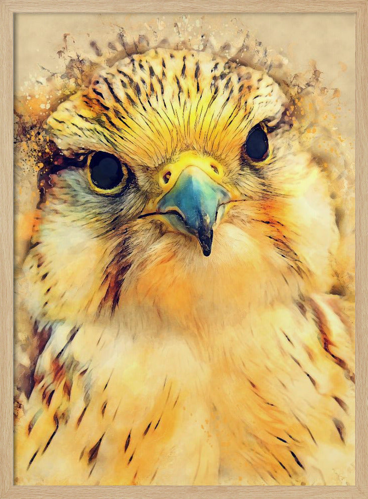 Animal Falcon Watercolor Animal Art | Poster
