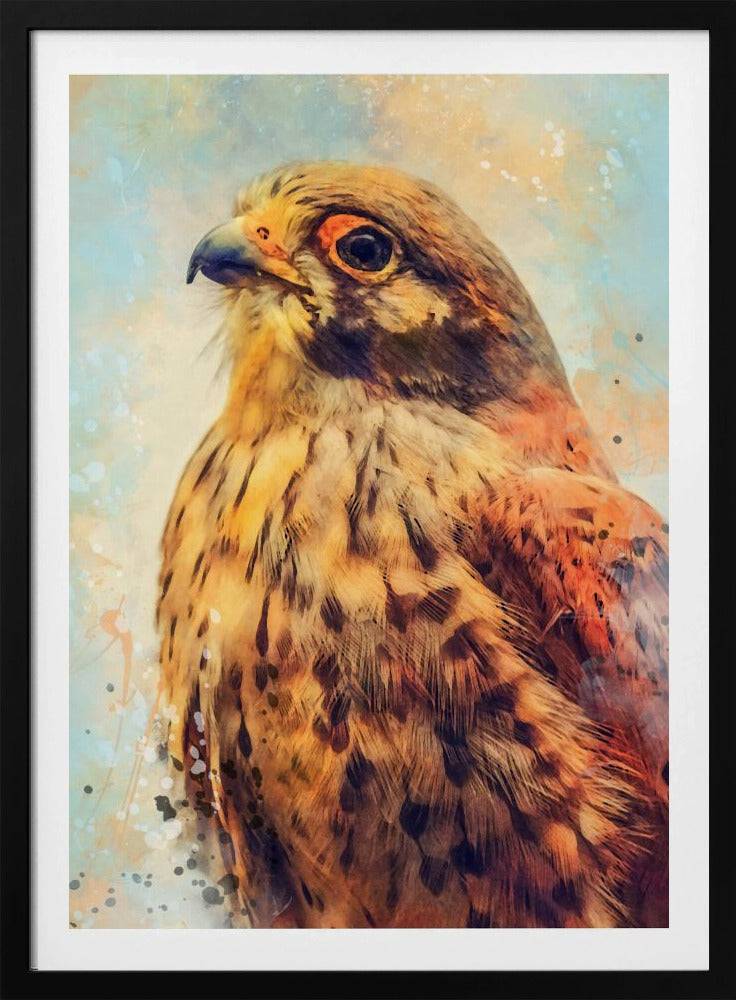 Animal Kestrel Watercolor Animal Art | Poster