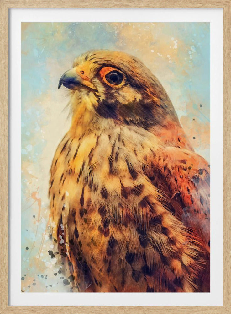 Animal Kestrel Watercolor Animal Art | Poster