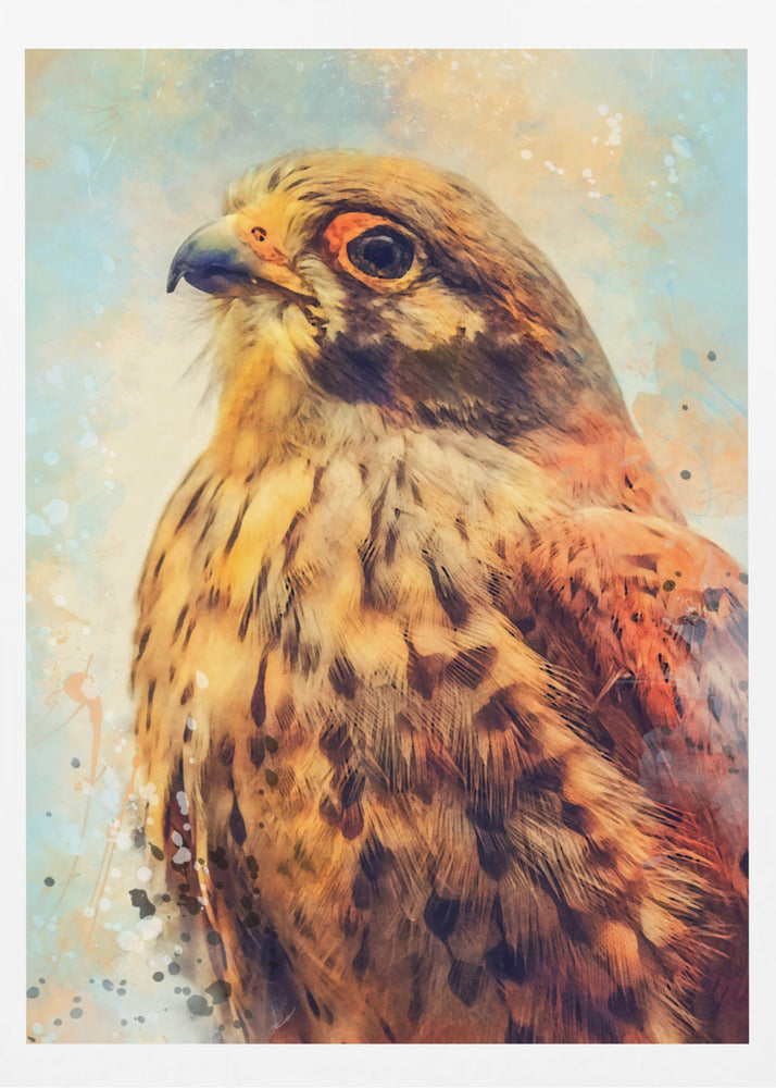 Animal Kestrel Watercolor Animal Art | Poster