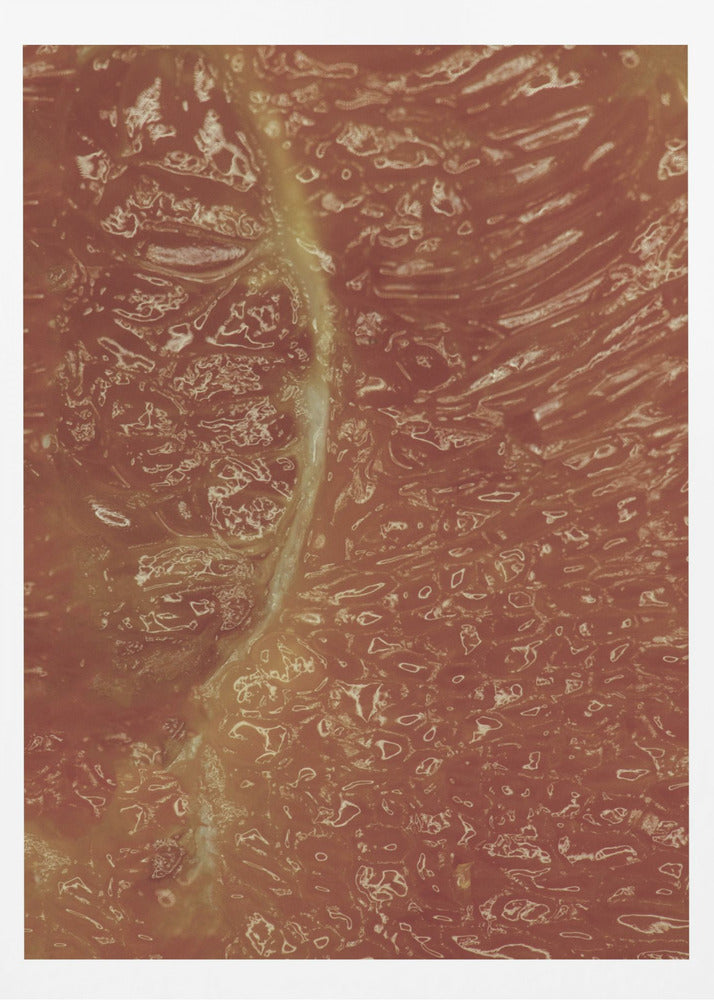 Zitrusmosaik | Poster