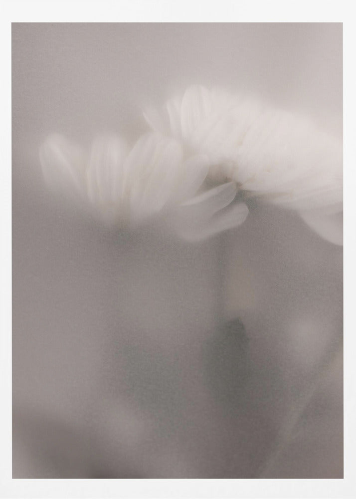 Blurred Flowers 3 | Poster