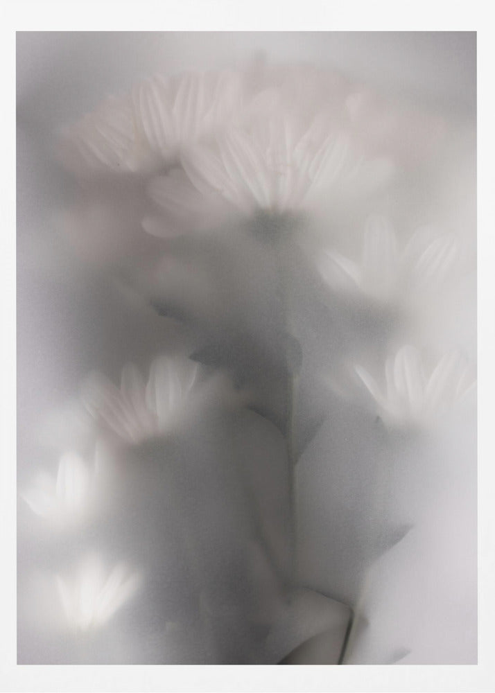 Blurred Flowers 4 | Poster