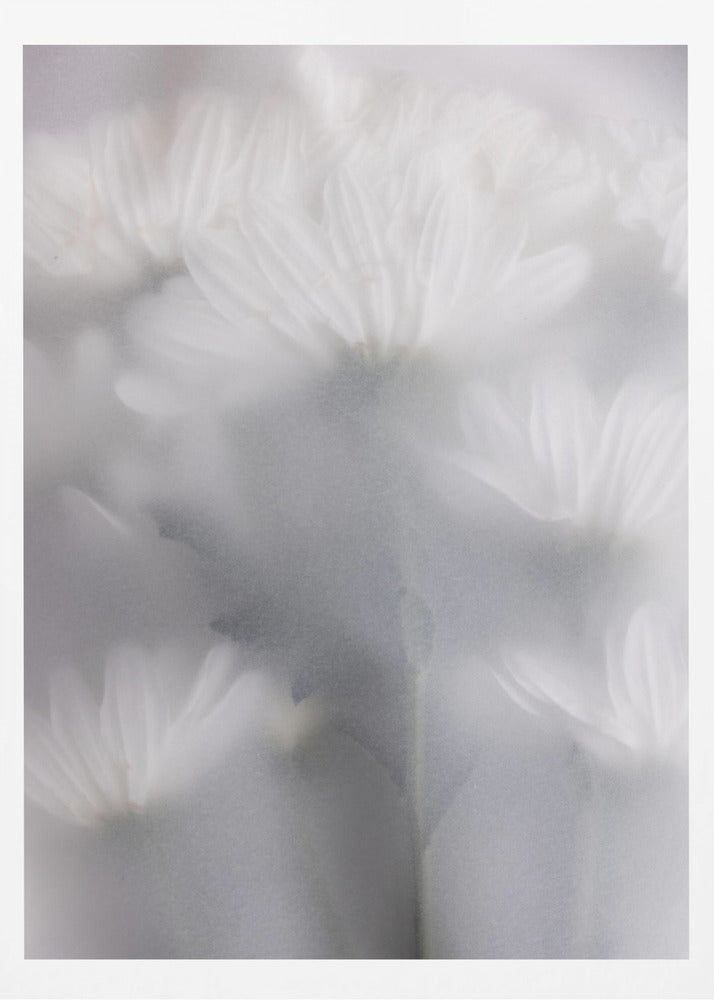 Blurred Flowers 6 | Poster