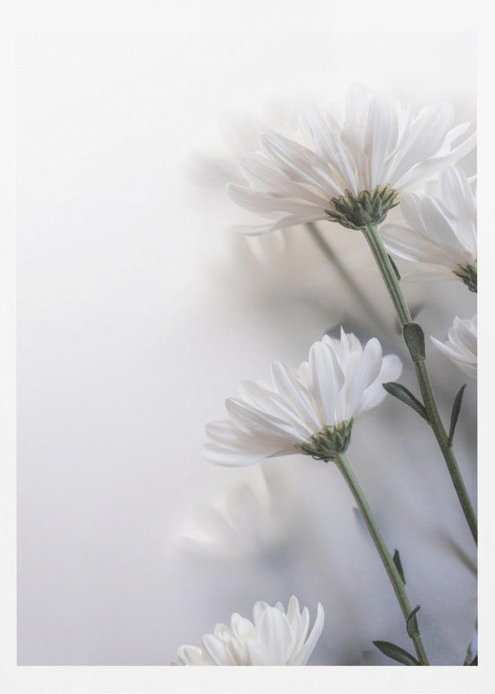 Blurred Flowers 8 | Poster