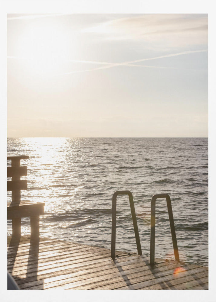 Summer Morning Swim | Poster