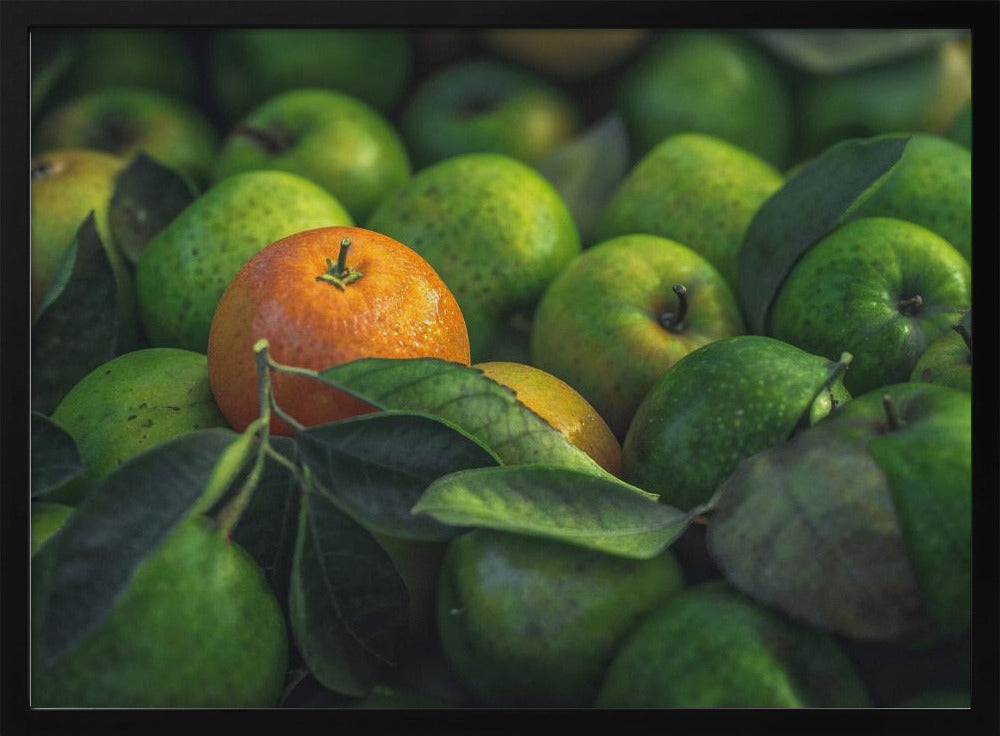 orange | Poster