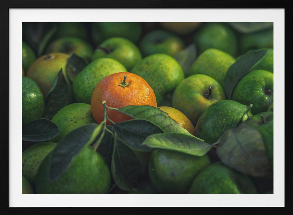 orange | Poster
