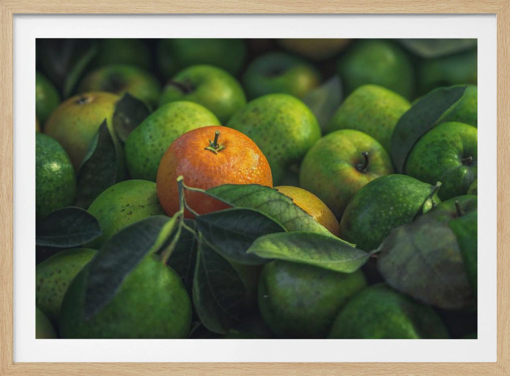 orange | Poster