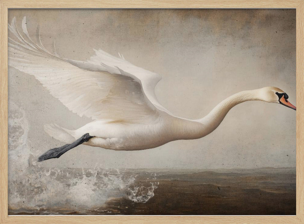 Graceful Flight | Poster