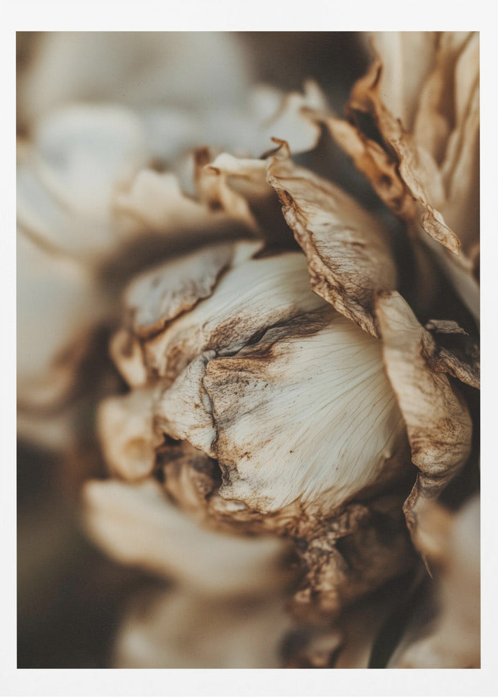 Whispering Petals | Poster