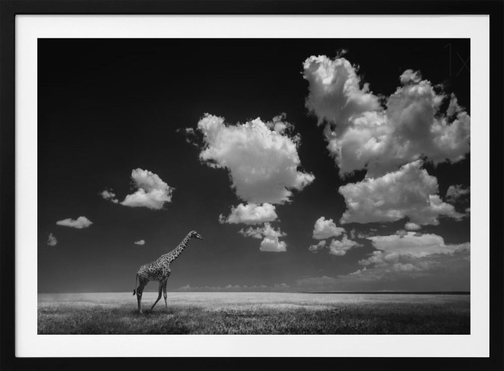 Von den Wolken verweht | Poster - Kunstdruck