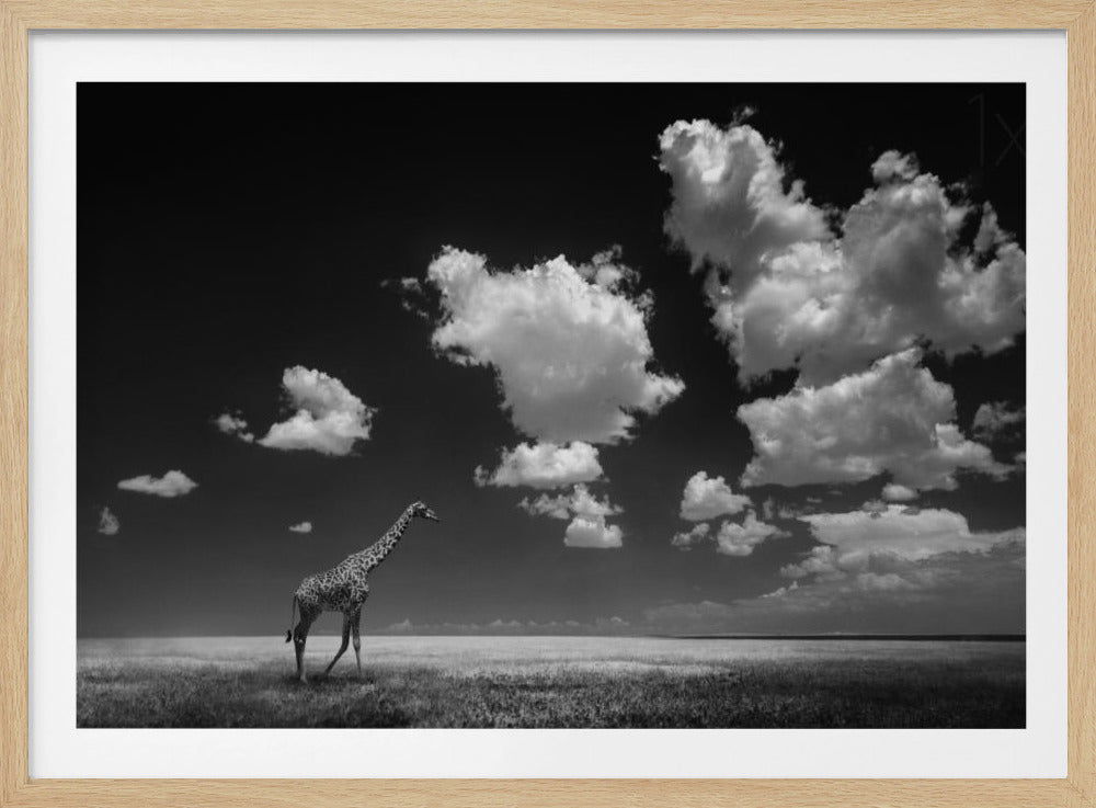 Von den Wolken verweht | Poster - Kunstdruck