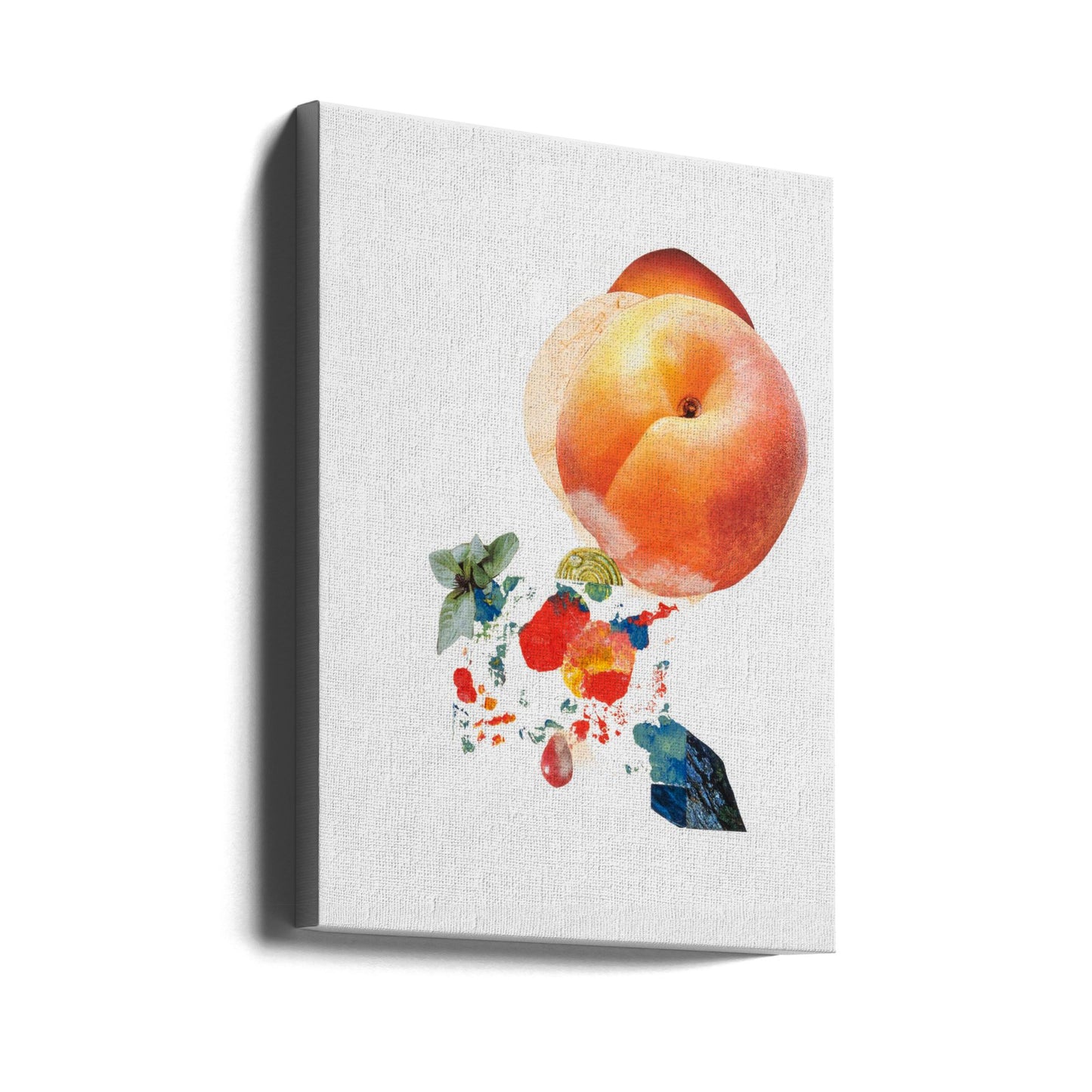 Momo_Montserrat Serra Nonell | Canvas