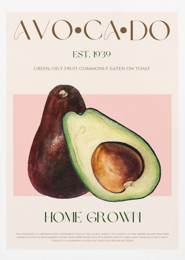 Avokadoessens | Poster