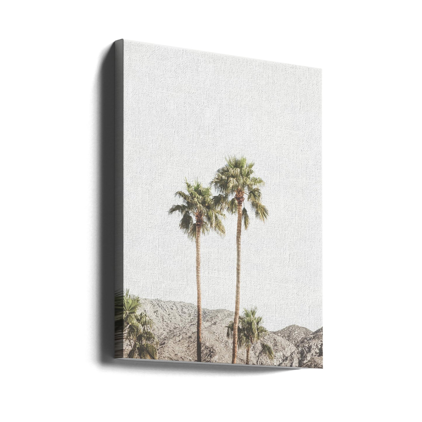 Palmy w Palm Springs | Wydruki na łótnie