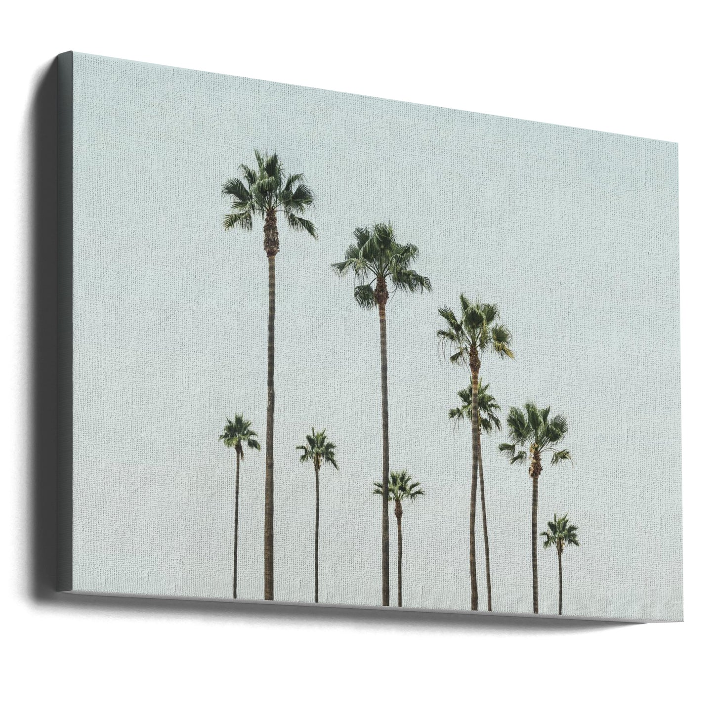 Cali Palms | Leinwand-Bilder