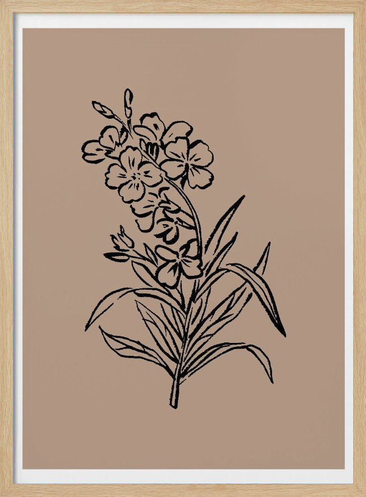 Delicate Blossoms | Poster