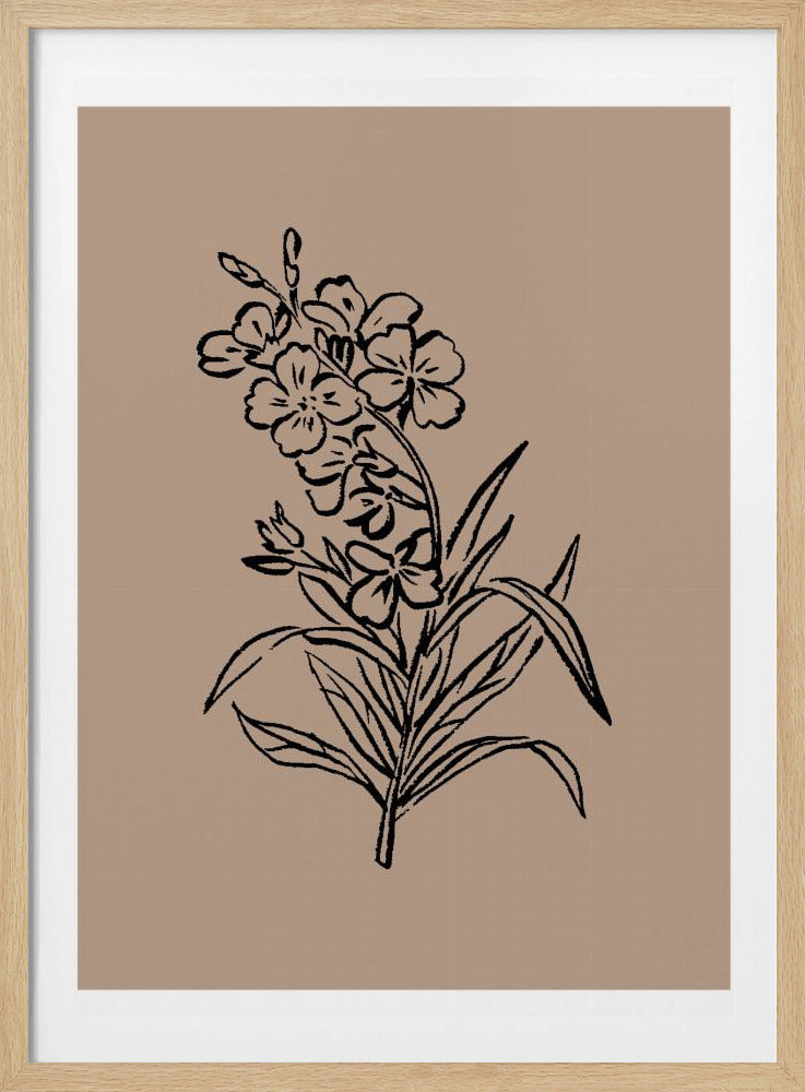 Delicate Blossoms | Poster