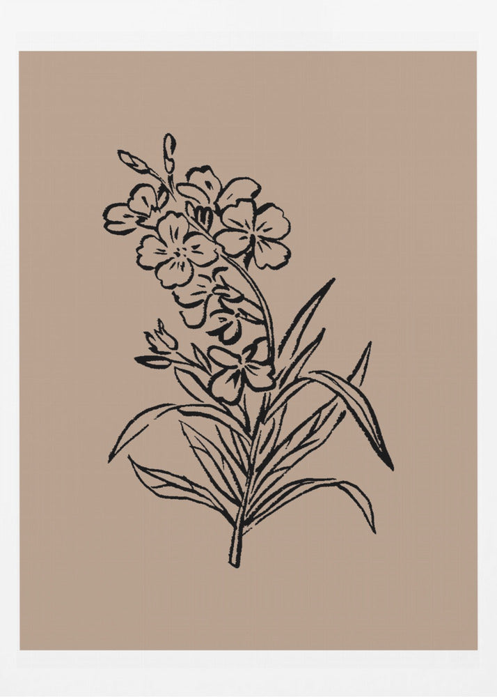 Delicate Blossoms | Poster