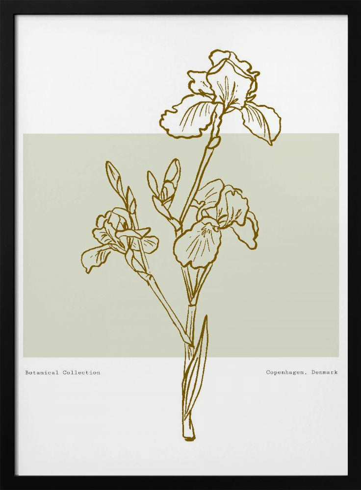 Floral Elegance | Poster