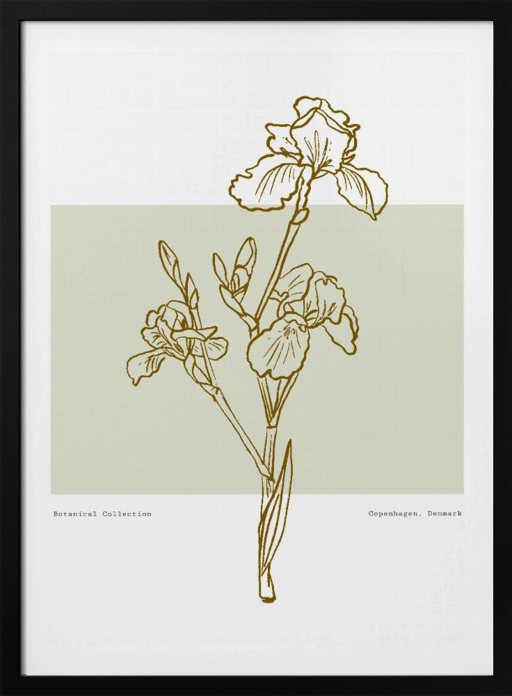 Floral Elegance | Poster