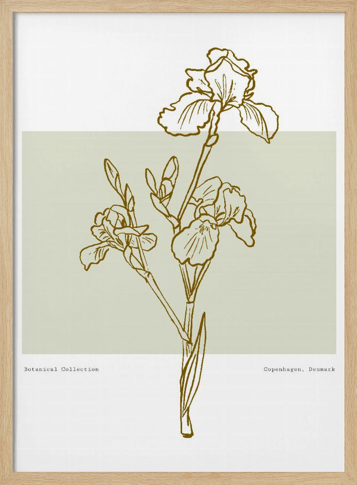 Floral Elegance | Poster