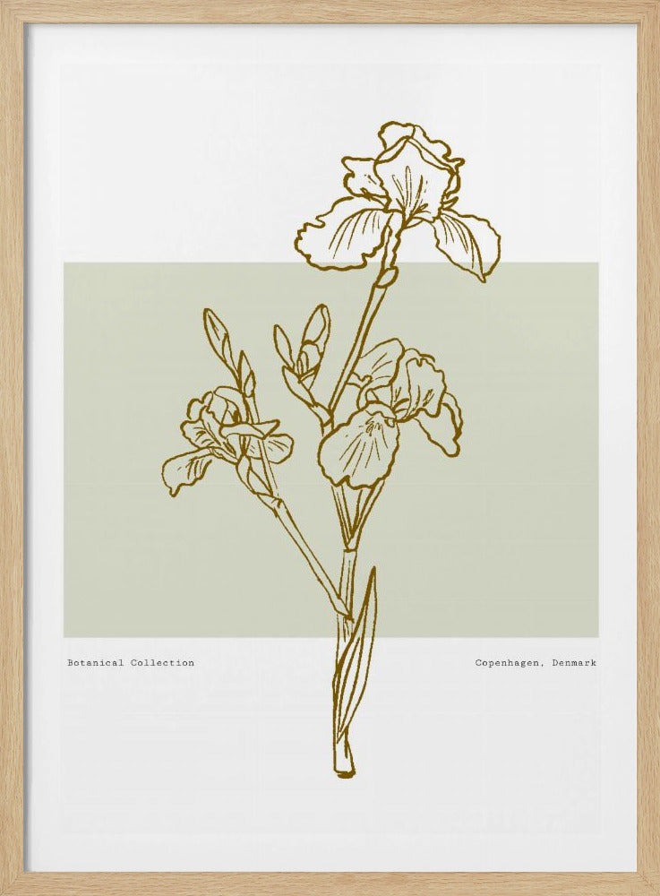 Floral Elegance | Poster