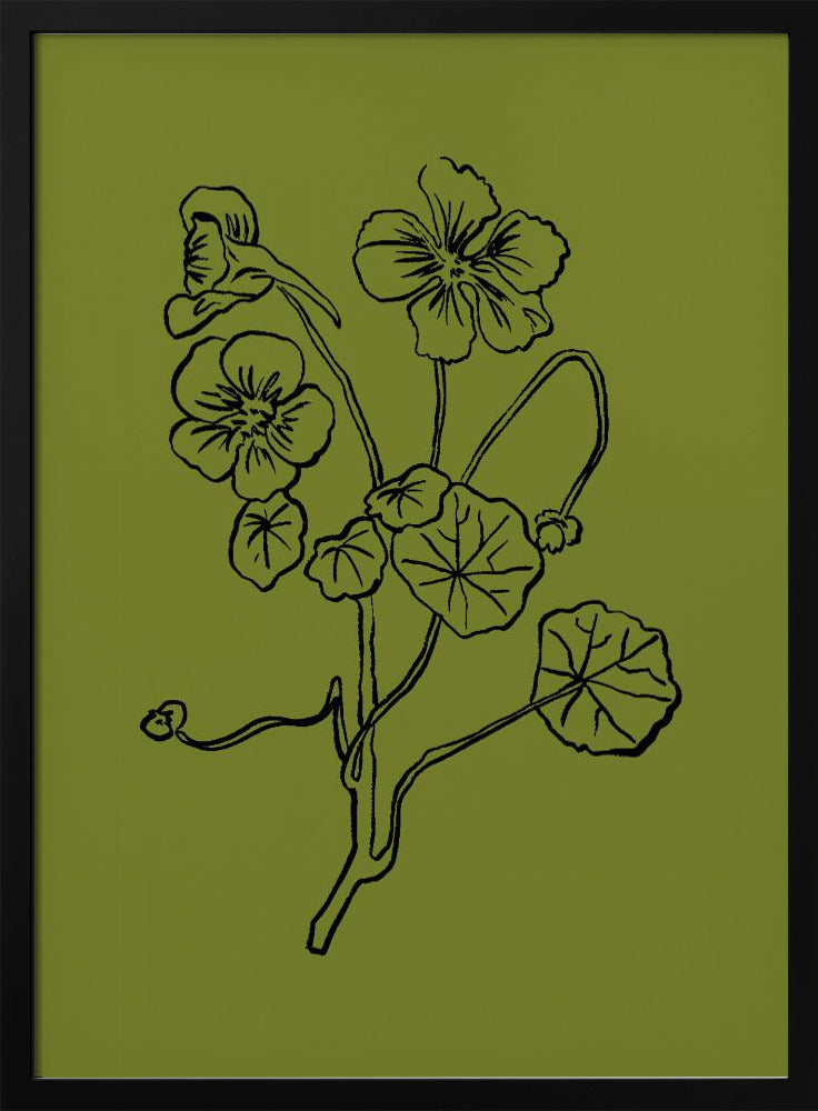 Delicate Lines of Nature | Poster