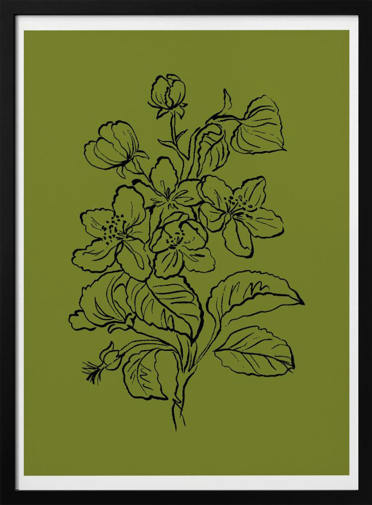 Botanical Elegance | Poster